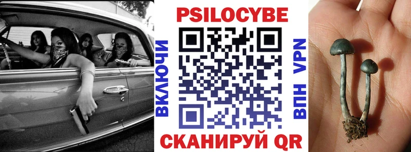 Галлюциногенные грибы Cubensis  Купить  Фрязино 